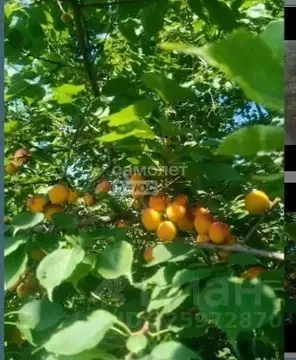 Дом в Челябинская область, Челябинск Горняк СНТ, ул. Правая, 42 (13 м)