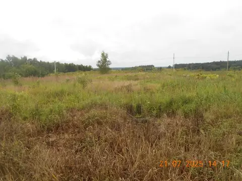 Участок в Московская область, Шаховская муниципальный округ, д. Жилые ...