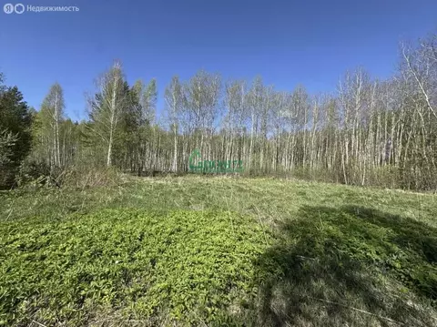 Участок в Тобольск, микрорайон Усадьба (8.9 м)