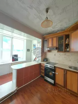 1-к кв. Камчатский край, Елизовский муниципальный округ, с. Паратунка ...