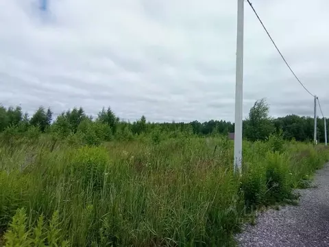 Участок в Нижегородская область, Дальнеконстантиновский муниципальный ...