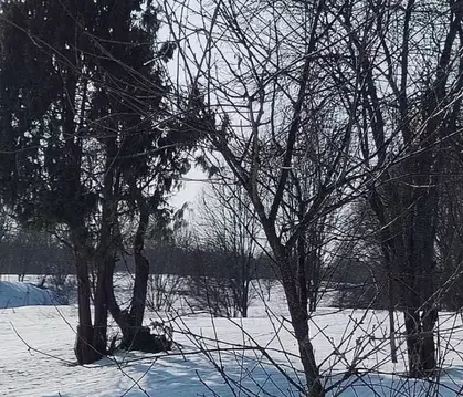 Участок в Московская область, Дмитровский муниципальный округ, д. ...