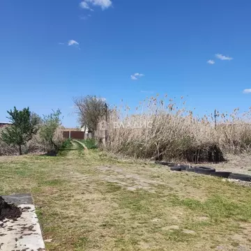 Участок в Волгоградская область, Светлоярский район, Кировское с/пос, ...