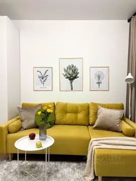 Студия Москва Варшавское ш., 282к1 (21.3 м)