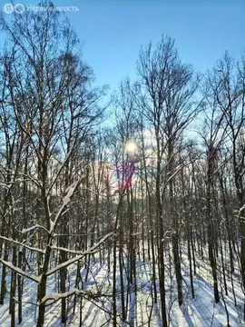 1-комнатная квартира: Королёв, Пионерская улица, 8Ак3 (49.6 м)