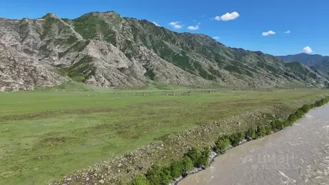 Участок в Алтай, Чемальский район, Куюсское с/пос  (1.68 га.)