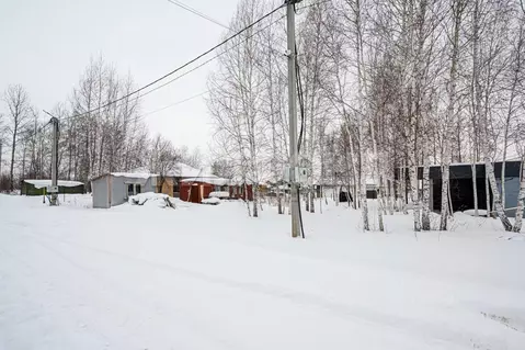 Участок в Новосибирская область, Новосибирский район, Каменский ...