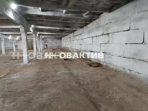 Помещение свободного назначения в Новосибирская область, Мошковский ...