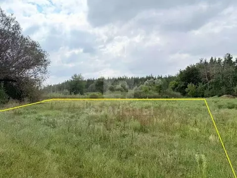 Участок в Воронежская область, с. Новая Усмань ул. Подлесная (14.3 ...