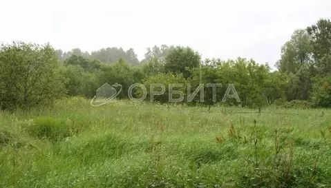 Участок в Тюменская область, Тюмень На Липовом кп, ул. Николая Егорова ...