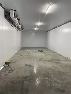 Помещение свободного назначения в Краснодарский край, Краснодар пос. ...