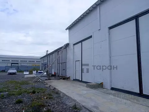 Помещение свободного назначения в Челябинская область, Сосновский ...