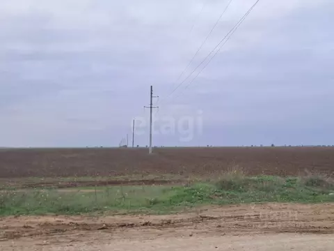 Участок в Крым, Сакский район, с. Молочное  (425.08 сот.)