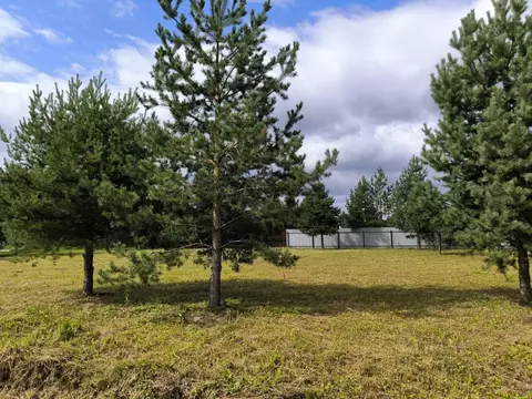 Участок в Московская область, Раменский муниципальный округ, с. ...