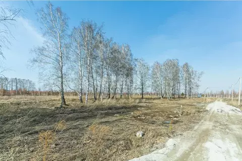 Участок в Новосибирская область, Бердск ул. Радостная, 17 (10.0 сот.)