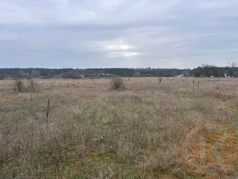 Участок в Крым, Сакский район, Ореховское с/пос, с. Чеботарка ул. ...