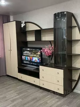 Студия Новгородская область, Боровичский район, Прогресское с/пос, ...