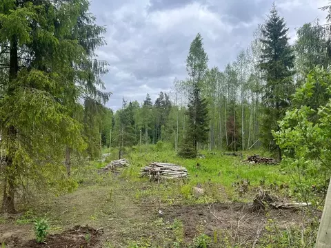 Участок в Ленинградская область, Приозерский район, Ромашкинское с/пос ...