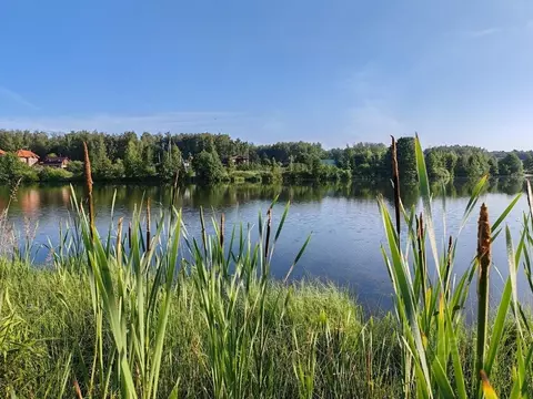 Участок в Московская область, Чехов муниципальный округ, д. ...