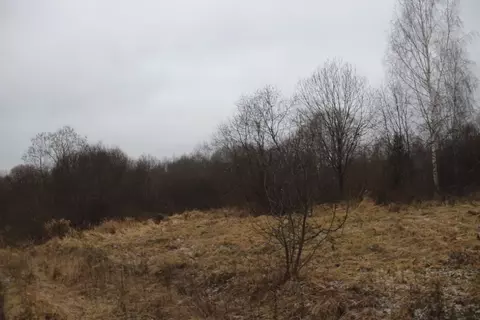 Участок в Московская область, Шаховская муниципальный округ, д. ...