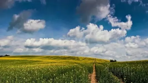 Участок в Башкортостан, Уфа № 37 ОСТ ОАО УМПО КС, 220 (15.0 сот.)