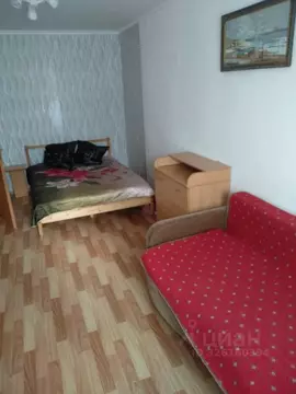 1-к кв. Санкт-Петербург пос. Парголово, ул. Михаила Дудина, 23к1 (46.5 ...