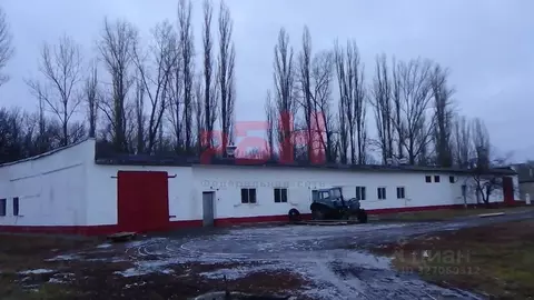 Производственное помещение в Воронежская область, Бобровский район, ...