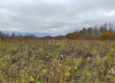 Участок в Ленинградская область, Волховский район, Вындиноостровское ...