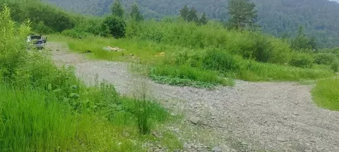 Участок в Алтай, Майминский район, Манжерокское с/пос, с. Озерное ул. ...