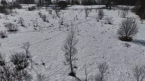 Участок в Московская область, Волоколамский муниципальный округ, д. ...
