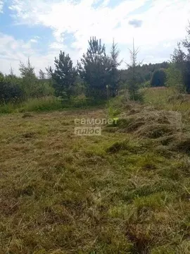 Участок в Московская область, Можайский муниципальный округ, Царские ...