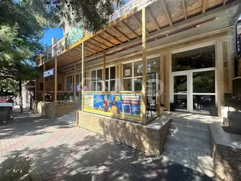 Помещение свободного назначения в Краснодарский край, Геленджик ул. ...