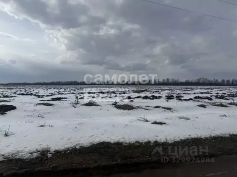 Участок в Марий Эл, Медведевский район, Руэмское с/пос, д. Крутой ...
