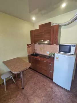 1-к кв. Новосибирская область, Новосибирск ул. Виктора Уса, 9 (28.0 м)