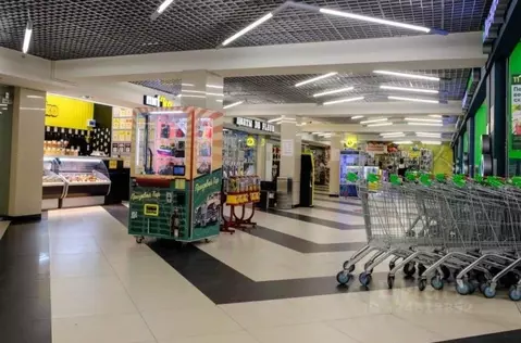 Офис в Санкт-Петербург просп. Косыгина, 30К1 (7013 м)