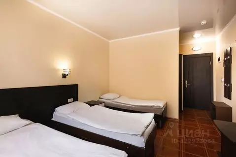 Комната Краснодарский край, Анапа муниципальный округ, с. Витязево ул. ...