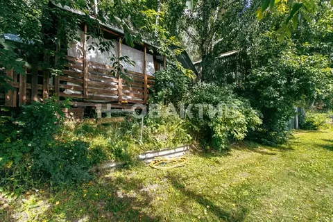 Участок в Новосибирская область, Новосибирск Сивашская ул., 37 (6.0 ...