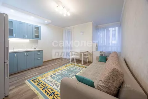 Студия Московская область, Подольск городской округ, д. Борисовка ул. ...