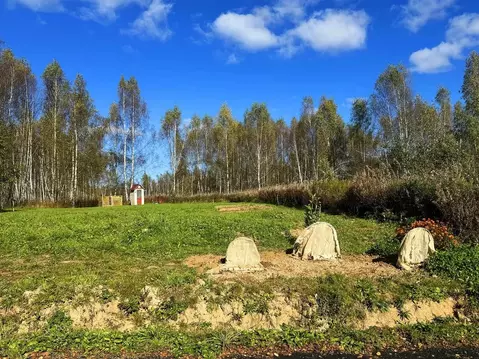 Участок в Московская область, Дмитровский муниципальный округ, Сбоево ...