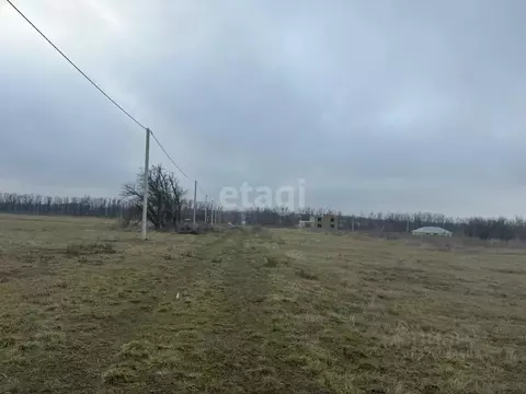 Участок в Ростовская область, Аксайский район, Старочеркасское с/пос, ...