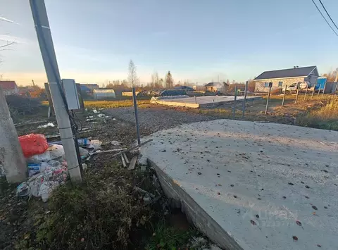 Участок в Новгородская область, Малая Вишера ул. Кленовая аллея (12.0 ...