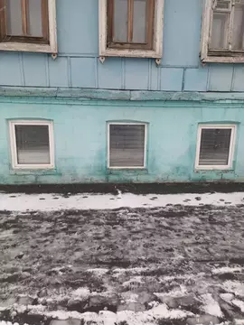 1-к кв. Оренбургская область, Оренбург Рыбаковская ул., 19/83 (32.0 м)