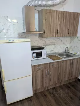 Студия Санкт-Петербург ул. Плесецкая, 16 (24.7 м)