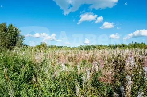 Участок в Тюменская область, Нижнетавдинский муниципальный округ, ...