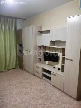1-комнатная квартира: Новосибирск, улица Петухова, 103/2 (27.6 м)
