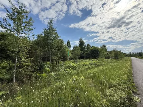 Участок в Тульская область, Тула городской округ, д. Ивановка ул. ...