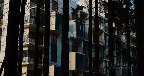 2-к кв. Ленинградская область, Сертолово Всеволожский район, ...