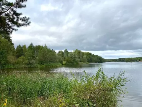 Участок в Кировская область, Кирово-Чепецкий район, Пасеговское с/пос, ...