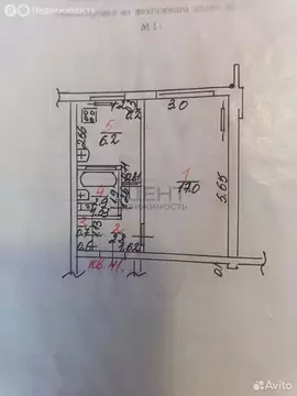 1-комнатная квартира: Сочи, микрорайон Совет-Квадже, Сибирская улица, ...