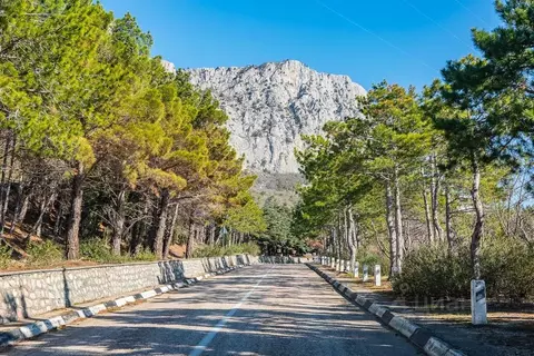Дом в Крым, Ялта муниципальный округ, Санаторное пгт ул. Гагарина, 18 ...